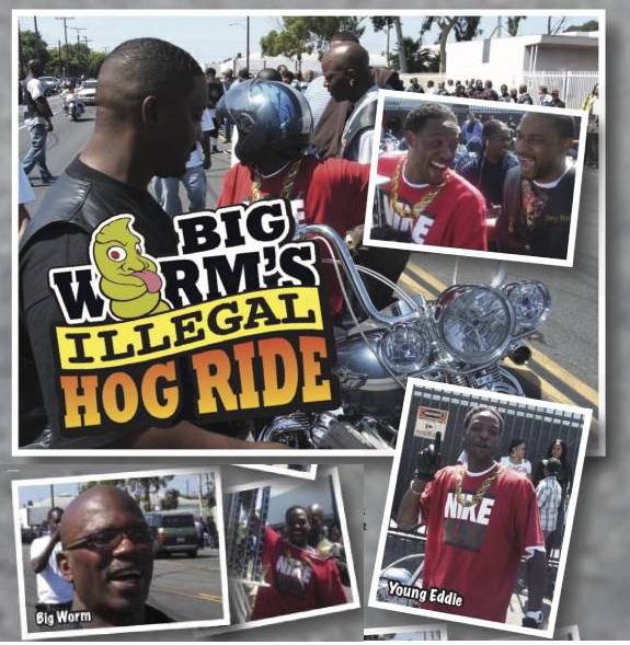 Big Worms Illegal Hog Ride